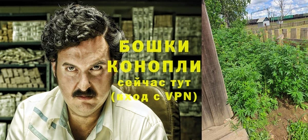 бошки Пестово